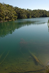 0481 Lake Eacham